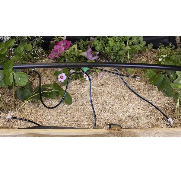 Ensemble arrosage capilaire
