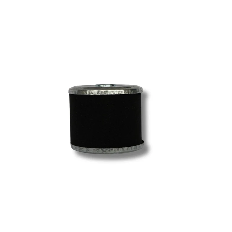 Filtre à air pour FX-BV240 et FX-BV240ECO