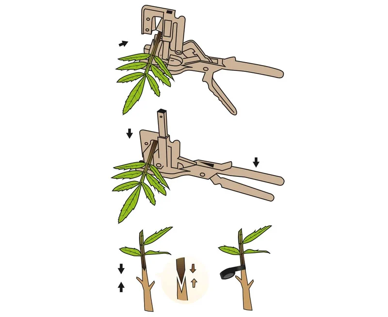 Innestatrice Manuale Top