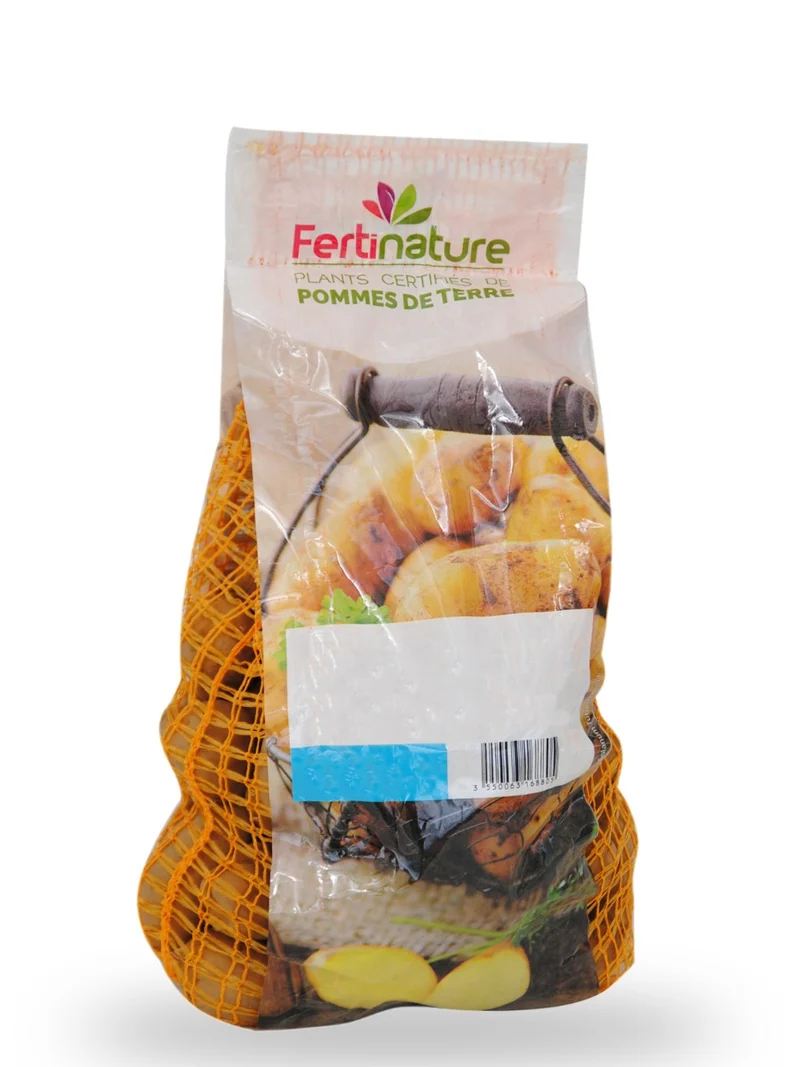 PATATA PRIMURA DA SEMINARE 1,5KG