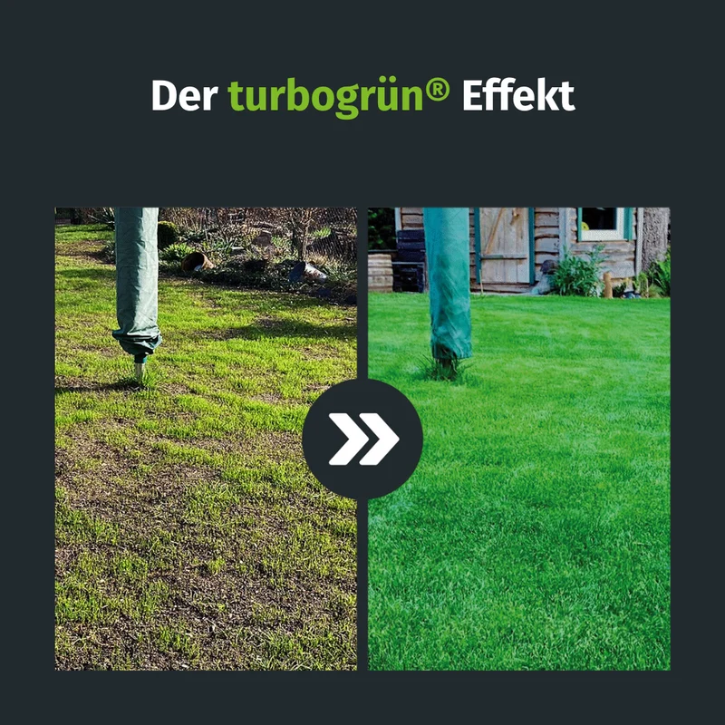 Set d'automne avec épandeur (125 m²)
