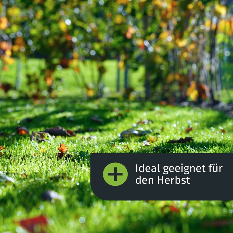 Set d'automne avec épandeur (125 m²)