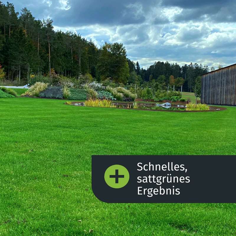 Set d'automne avec épandeur (125 m²)