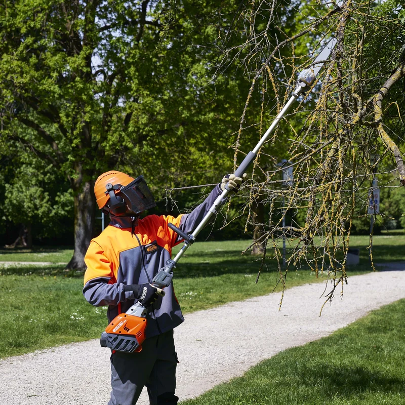 Débroussailleuse multifonctions - Outil élagueuse BCi 530 D
