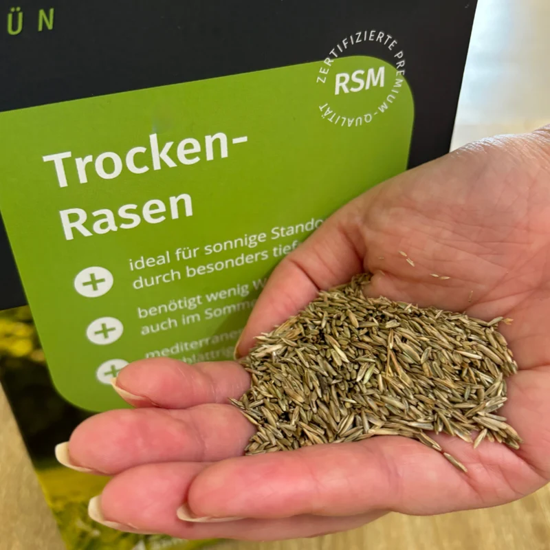 Gazon pour terrain sec