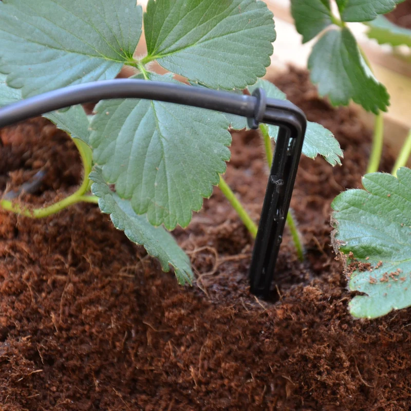 Kit irrigation goutte à goutte Palram – 10 m, 16 goutteurs, régulateur pression