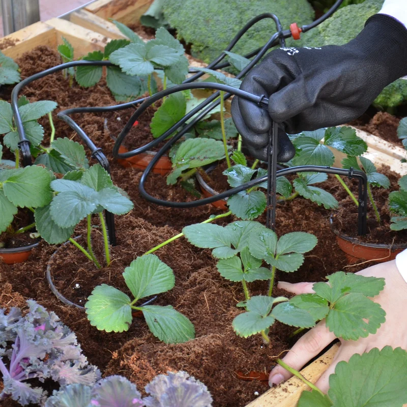 Kit irrigation goutte à goutte Palram – 10 m, 16 goutteurs, régulateur pression
