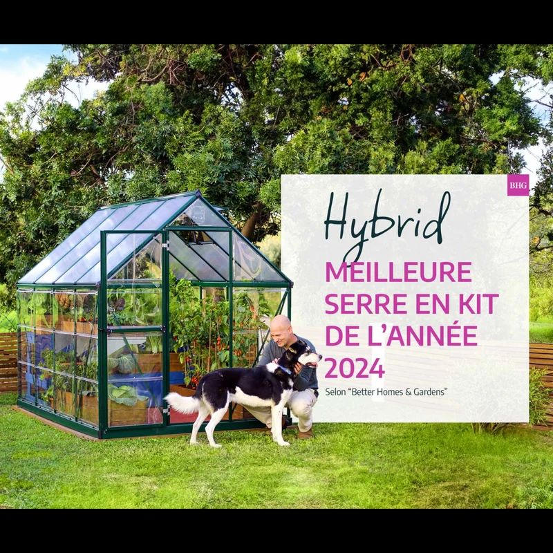 Serre de jardin Hybrid 5,6 m² – vert – polycarbonate double paroi, aluminium, base acier, ventilation, montage facile
