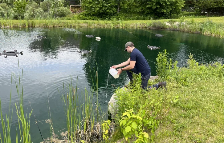 Bacterius® C, for Organic Matter & Muck