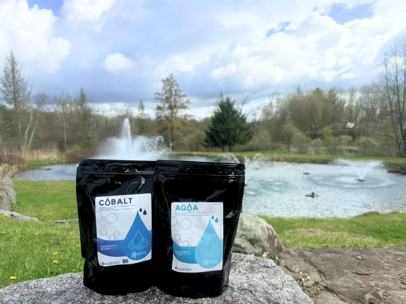 CanadianPond Dry Aquatic Dye