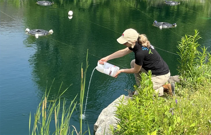 Bacterius® POND, Nitrification and Control of Organic Sediment