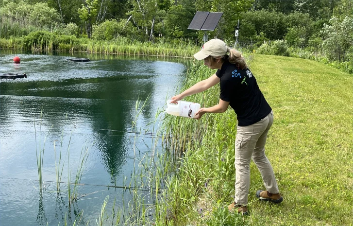 Bacterius® POND, Nitrification and Control of Organic Sediment
