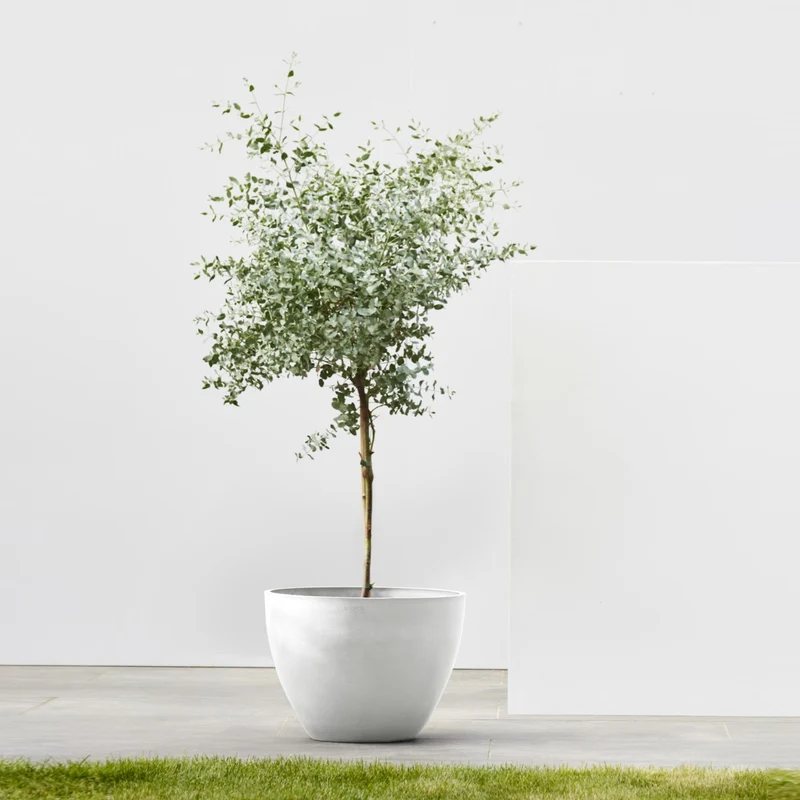 Vaso Rotondo D30 H25,5 Bianco Puro Ecopots