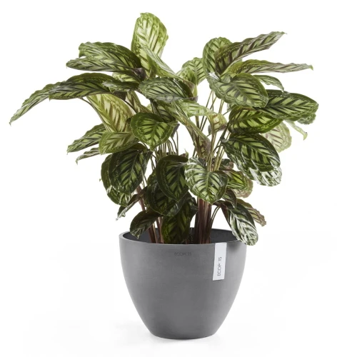 Vaso Rotondo D30 H25,5 Grigio Ecopots