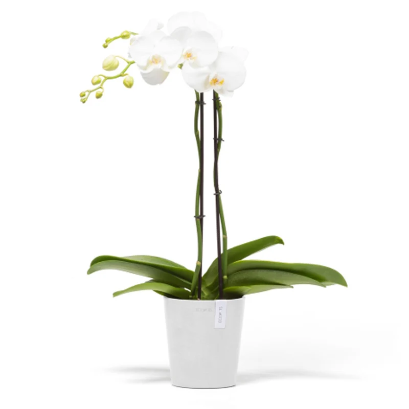 VASO DA TAVOLO ROTONDO MORINDA D14XH16CM BIANCO PURO