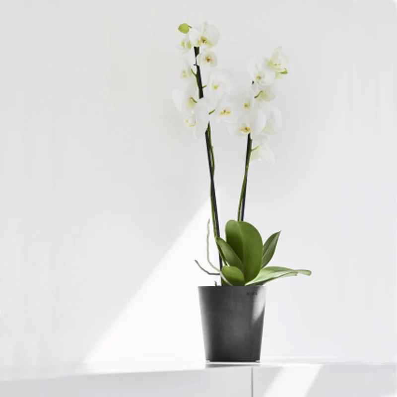 VASO DA TAVOLO ROTONDO MORINDA D11XH12,5CM GRIGIO SCURO