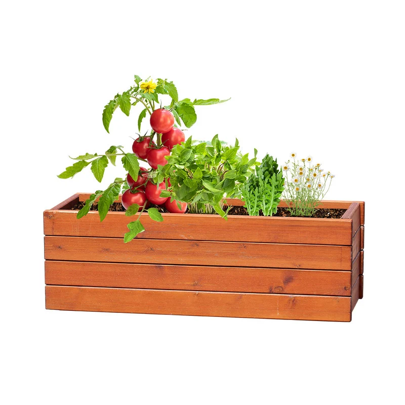 Kit de jardin avec graines avec emballage en carton recyclé TOMARUX