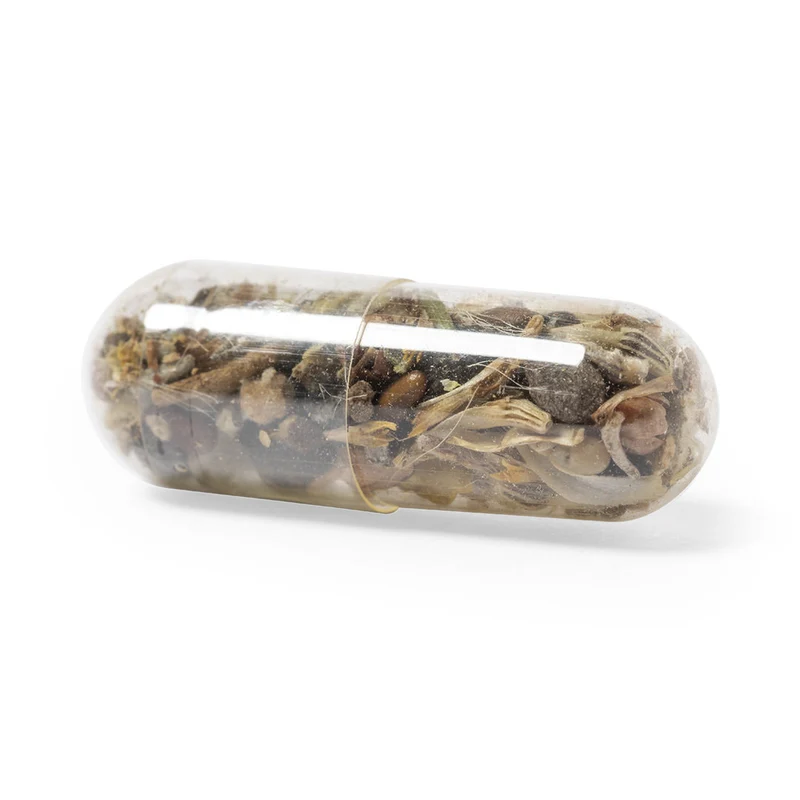 Capsule de graines dans son étui en carton recyclé BIYOK