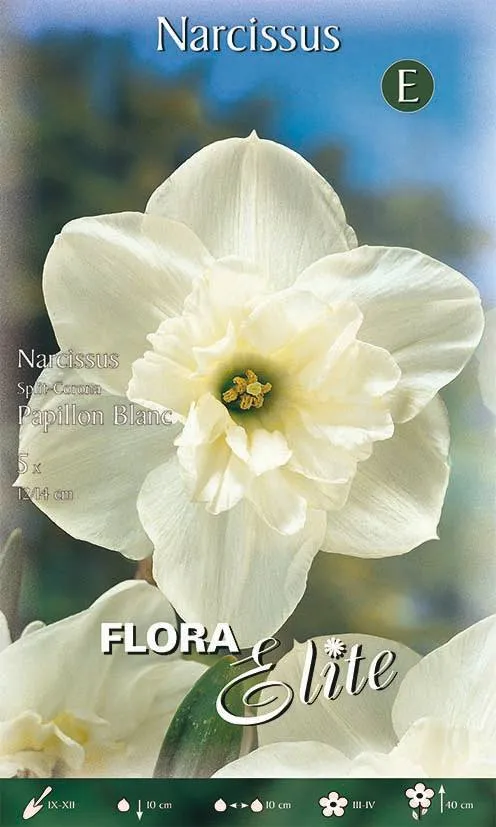 Bulbi di Narciso Split Corona Papillon Blanc 5 Bulbi