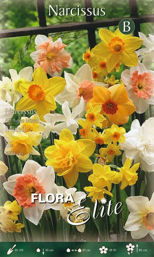 Mix Bulbi di Narciso 5 Bulbi