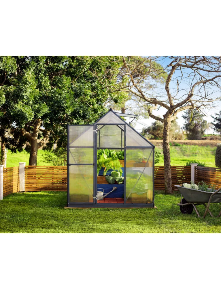 Serre de jardin Mythos 1,85 x 2,46 m grise - aluminium - fenêtre de toit et gouttières