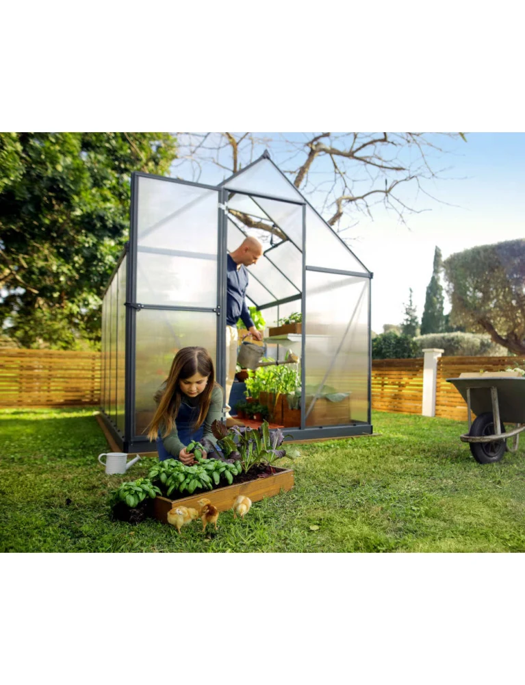 Serre de jardin Mythos 1,85 x 2,46 m grise - aluminium - fenêtre de toit et gouttières