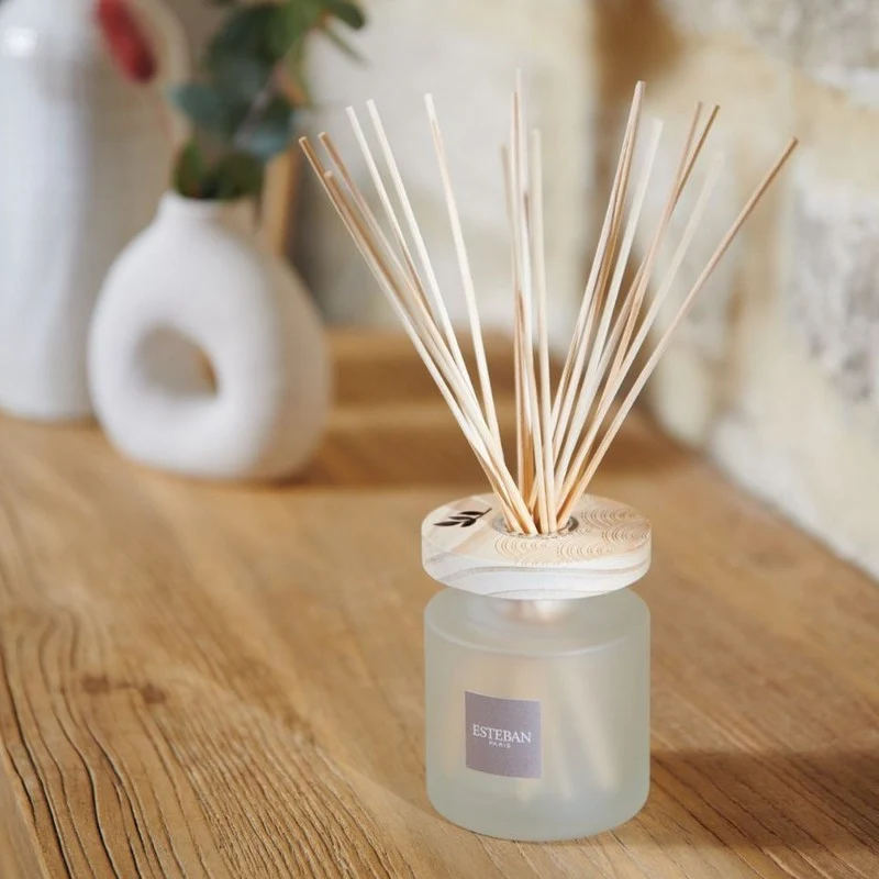Diffusore di Profumo a Bastoncini Ellipse Arancia e Tè Verde 200 ml ESTEBAN-PARIS