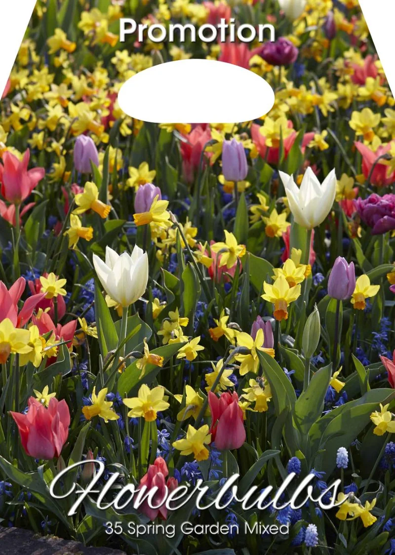 Mix Bulbi da Fiore Giardino Primaverile 35 Bulbi