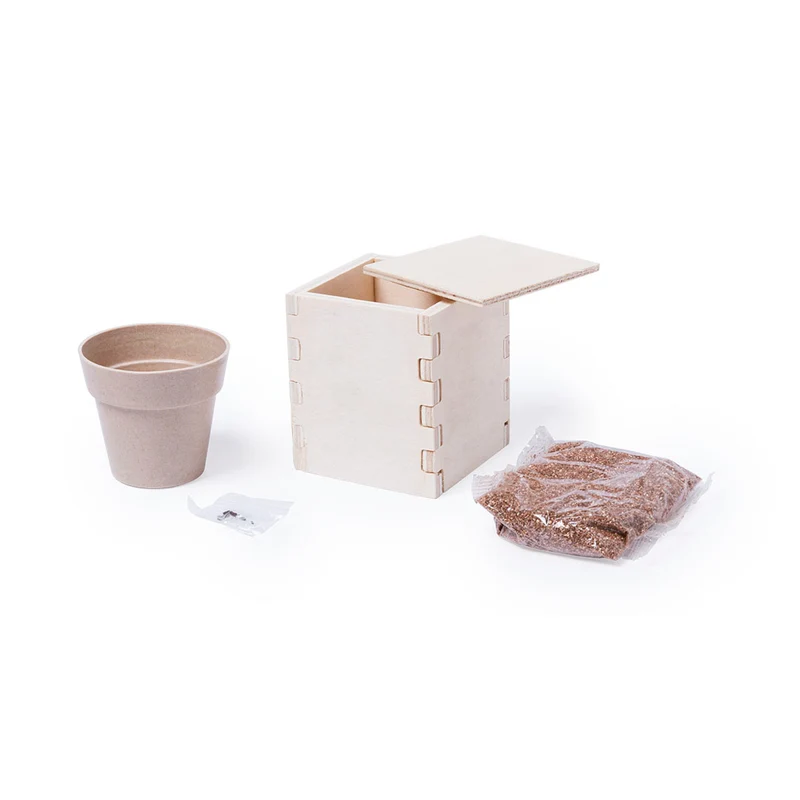 Pot de fleur biodégradable, 6-8 graines de menthe MERIN