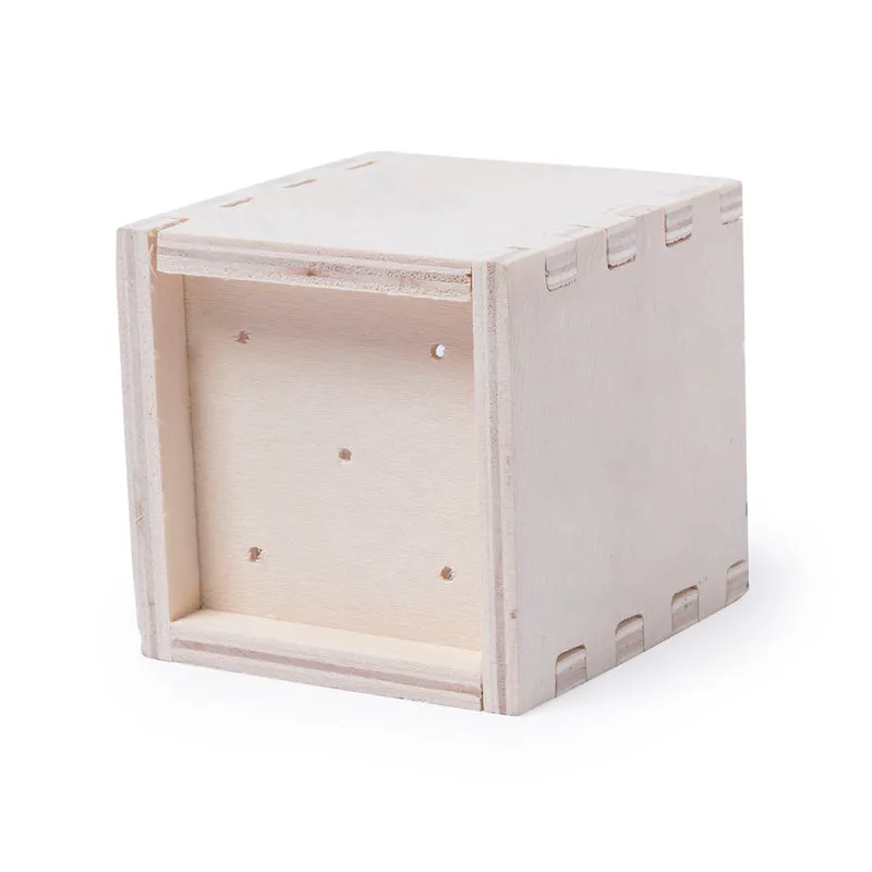 Pot de fleur biodégradable, 6-8 graines de menthe MERIN