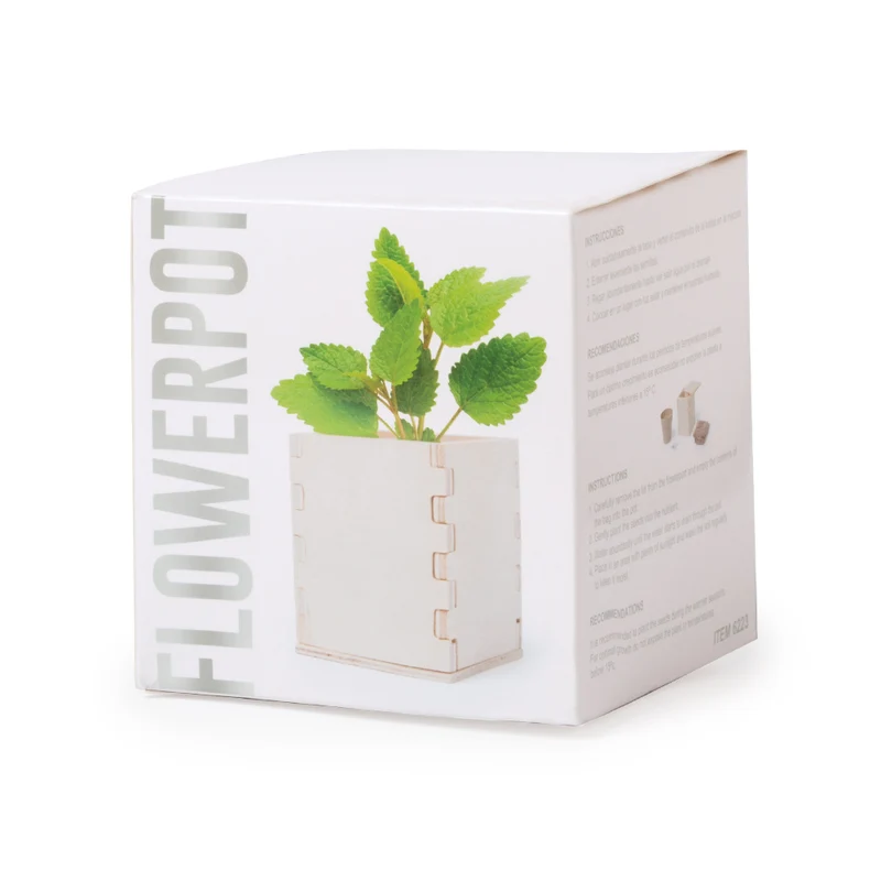 Pot de fleur biodégradable, 6-8 graines de menthe MERIN