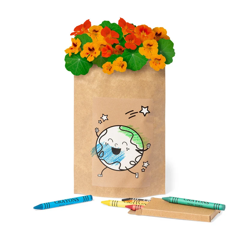 Graines de capucines dans une enveloppe en papier avec 6 crayons de couleurs HALORS