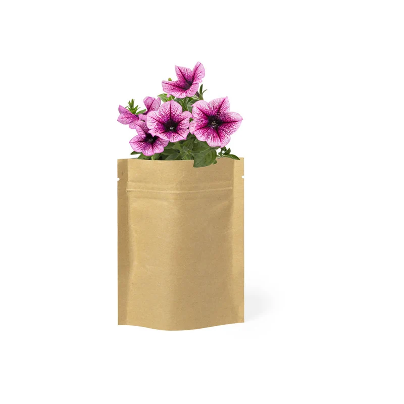 Graines de pétunia et sac avec substrat de croissance SOBER