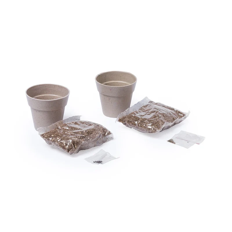 Lot de 2 pots de fleurs avec graines NERTEL