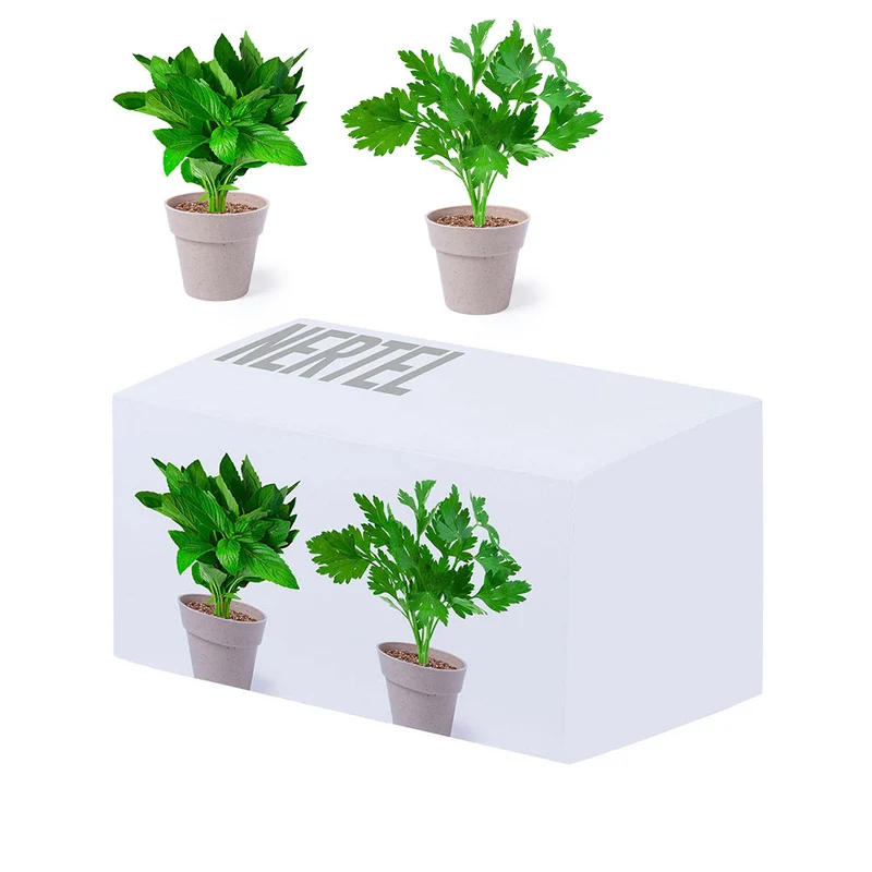 Lot de 2 pots de fleurs avec graines NERTEL