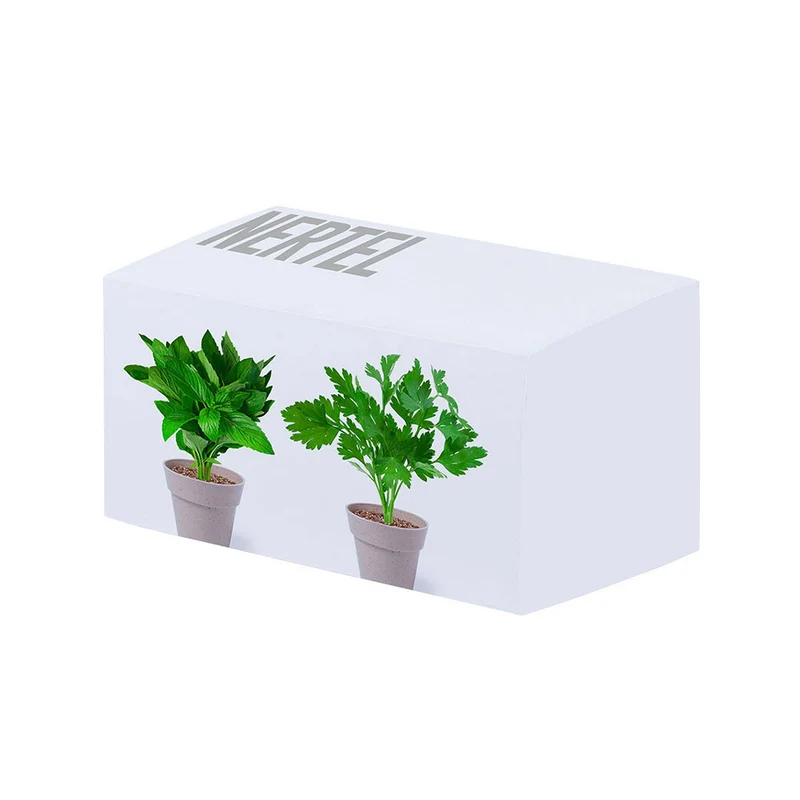 Lot de 2 pots de fleurs avec graines NERTEL