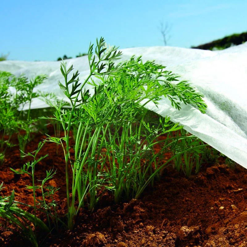 1.6m x 5m Nonwoven Crop Cover Plant Frost Protection Fabric Insect Netting