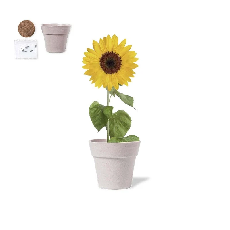 Pot de fleurs biodégradable avec graines de tournesol TUMIL