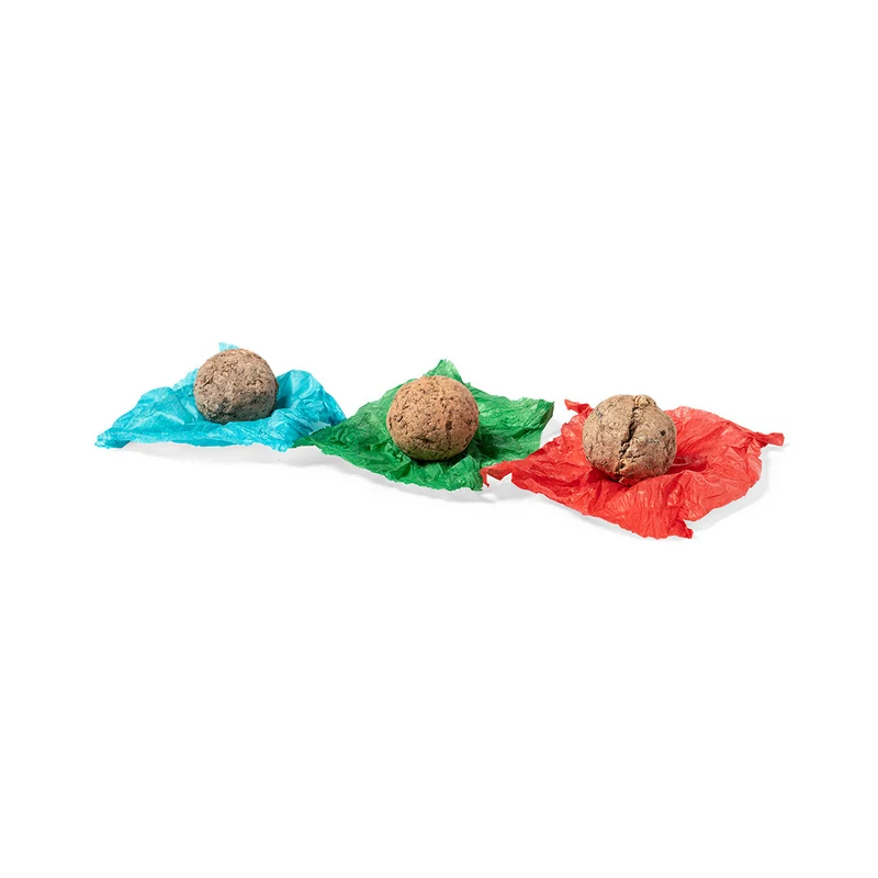 Kit de jardin compartiments indépendants MENDRAX