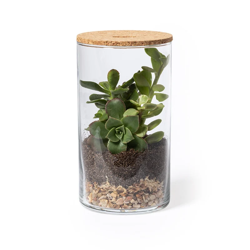 Terrarium en verre borosilicate et en liège ANYMAK
