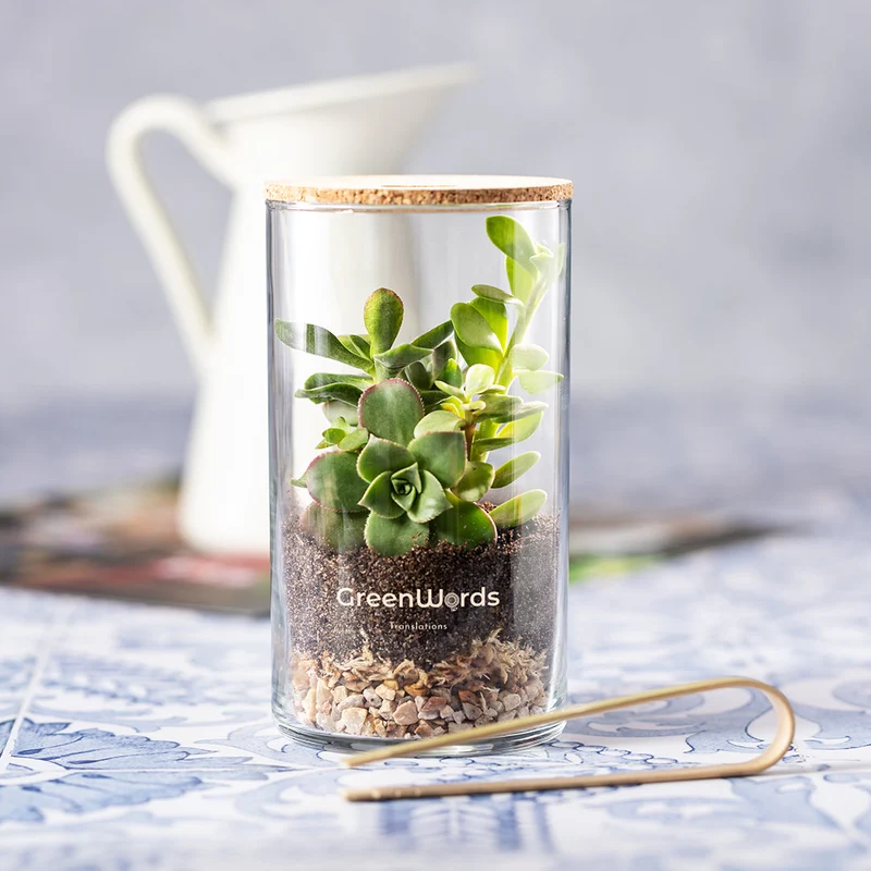 Terrarium en verre borosilicate et en liège ANYMAK
