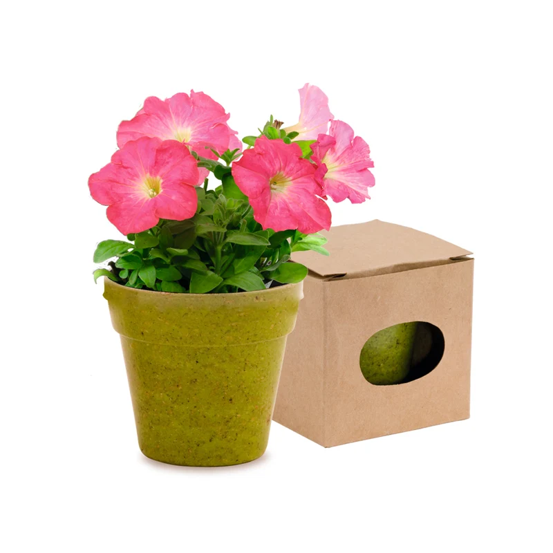 Pot de fleur biodégradable livré avec ses graines ADVERT