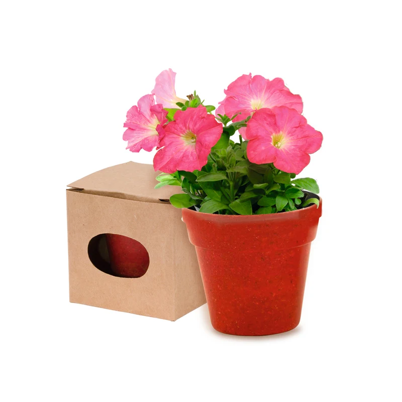 Pot de fleur biodégradable livré avec ses graines ADVERT