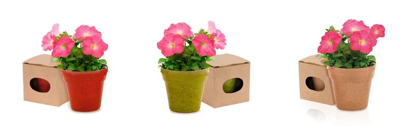 Pot de fleur biodégradable livré avec ses graines ADVERT