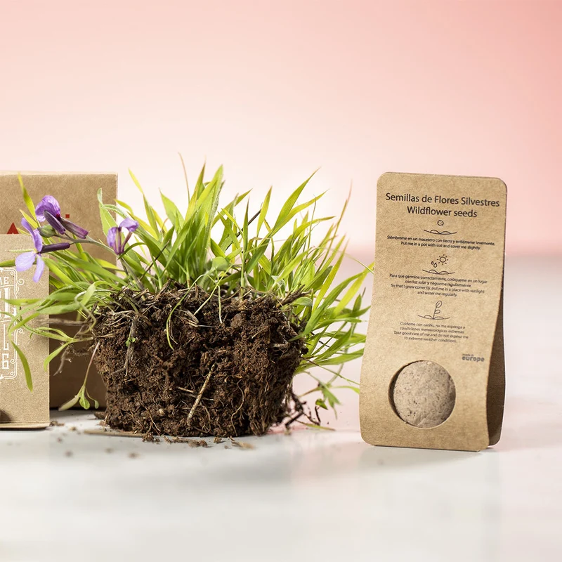 Bille de graines, présenté dans un étui en carton recyclé MUSSOX