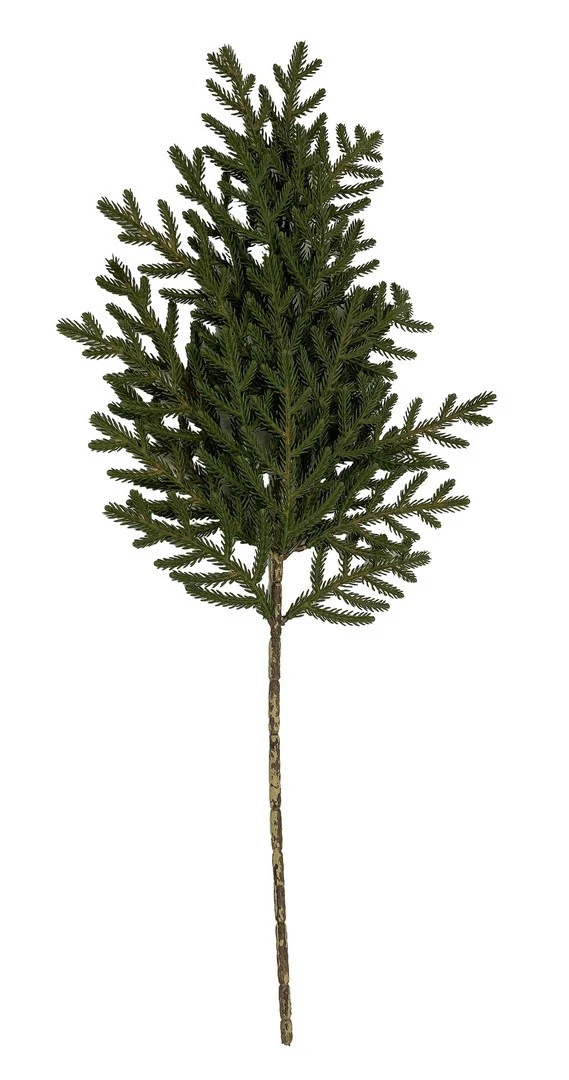 Ramo Pino Zwam 64cm Verde bizzotto