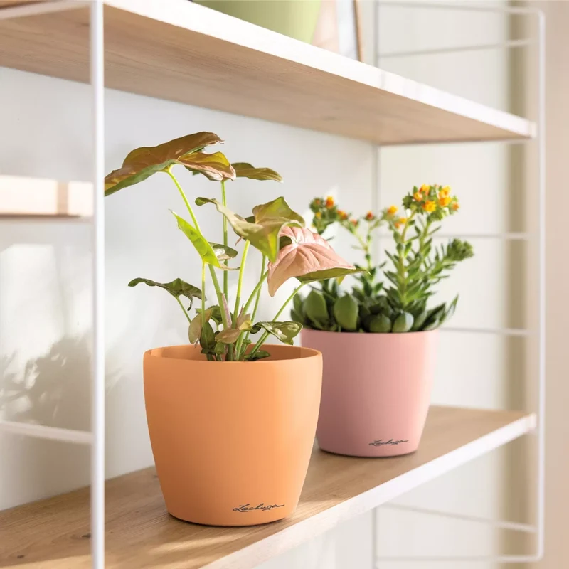 Vaso Classico "Deco 12" D13 H12CM Rosa Magnolia Opaco LECHUZA