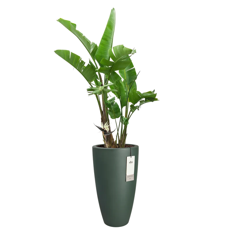 Vaso Juno Round High D 39 x H 70 cm Verde Smeraldo Elho