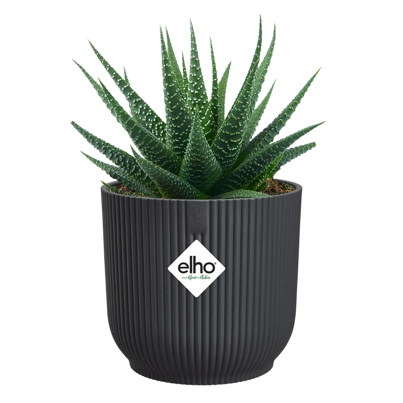 Vaso Vibes Fold Round Mini D 9 x h 9 cm Antracite ELHO