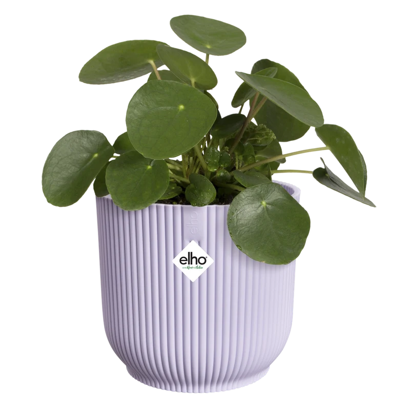 Vaso Vibes Fold Round D 18 x H 17 cm Lilla Tenue ELHO